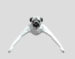 animal company pug