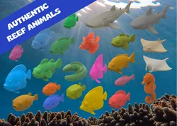 Authentic Animals - Coral Reef