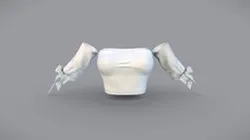 Strapless Female White Top