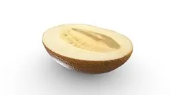Half Melon