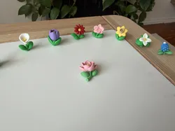 Magnolia