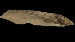 Maybole outcrop (Mars)