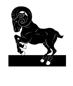 Ram