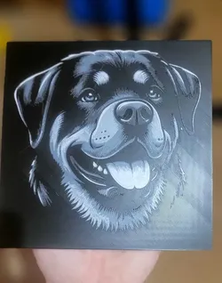 Rottweiler