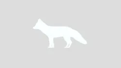 2D Fox