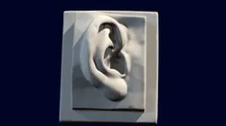 David Ear