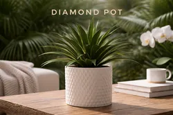 diamond pot