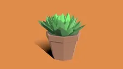 low poly succulent plant