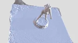 texturedMesh