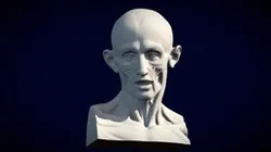 Écorché Cabeza Houdon