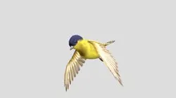 birdfly