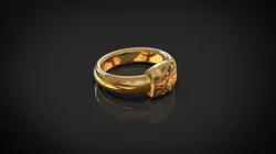 Decorative ring - Extreme re-design