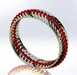 Indian Bangle 2