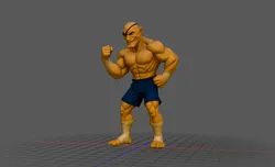sagat cartoon