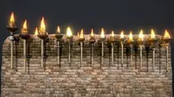25-Pack Burning Wall Torches (2)