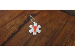 Diabetes Medical Alert Keyring