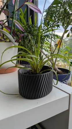 Parametric Plant Pot