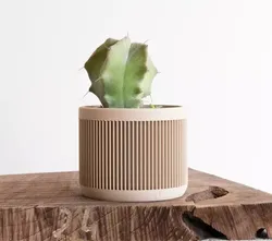 potted succulent and plants 3D print model