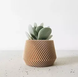 potted succulent and plants 3D print model