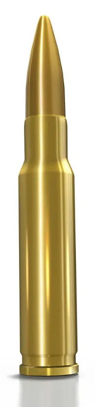 Rifle Bullet