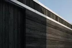 Burned wood wall cladding texture 3D model
