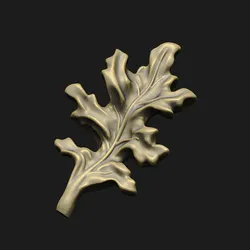 Red-oak leaf detail plant branches autumn winter gift