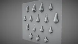 Noses Training
