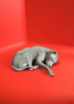 Piper sleeping