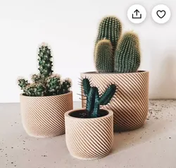 potted succulent and plants 3D print model