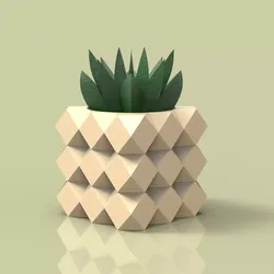 potted succulent and plants 3D print model