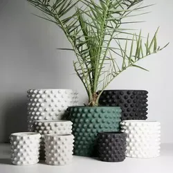 potted succulent and plants 3D print model