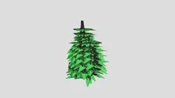 Bush