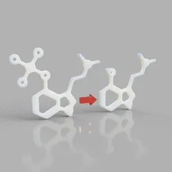 Psilocybin and Psilocin Molecules