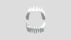 teeth
