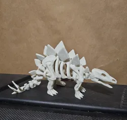 Articulated dinosaur skeleton 3