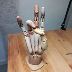 Articulated Hand