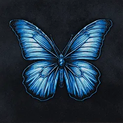 Butterfly HueForge