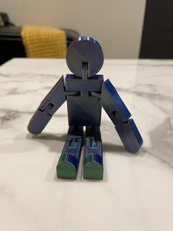 Flexi Person