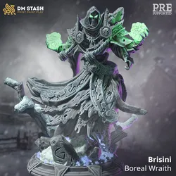 Other STL Download - Dark Wraith Lich - Brisiniby DM Stash