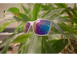 Sunglasses #2