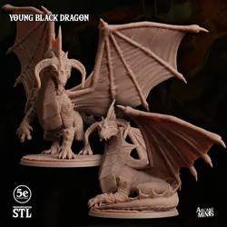 Young Black Dragon