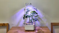 Véritable Botaneo Extension