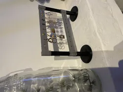 Earring Holder (simple)