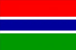 gambia flag CG Textures in Fabric 38227
