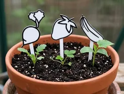 Garden Plant Markers