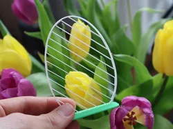 Gyroid Easter Egg Decor