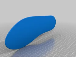 Insole Left