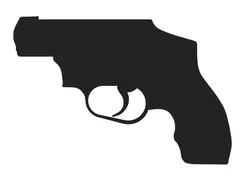 Smith&Wesson M&P340 Silhouette