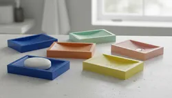 SOAPDISH