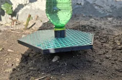 Bee Feeder with ground pin (Remix)